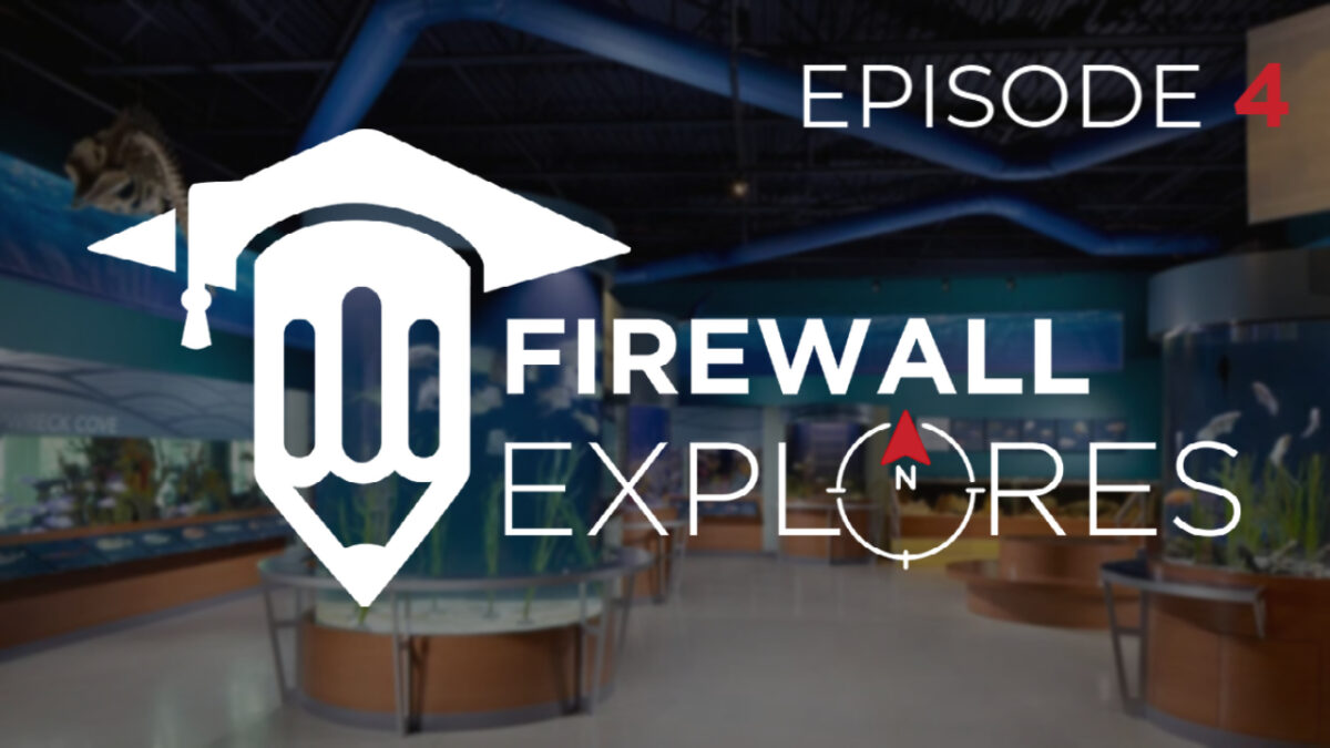 Firewall Goes Under the Sea